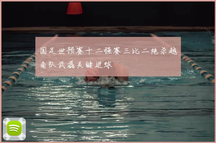 国足世预赛十二强赛三比二绝杀越南队武磊关键进球