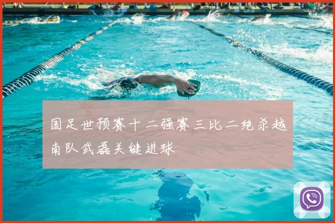 国足世预赛十二强赛三比二绝杀越南队武磊关键进球