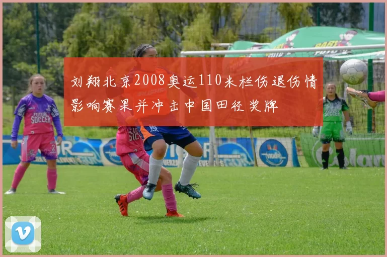 刘翔北京2008奥运110米栏伤退伤情影响赛果并冲击中国田径奖牌