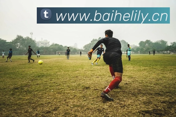 欧冠进球效率榜更新 姆巴佩领跑高效破门榜哈兰德紧随其后